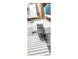 Acil Eş arıyorum - British Shorthair