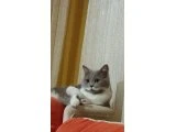 MİNİK BETAMIZ YENİ YUVASINI ARIYOR - 2