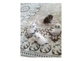 2 aylık eğitimler tamam - 2