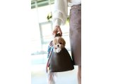Orjinal Maltipoo - 2