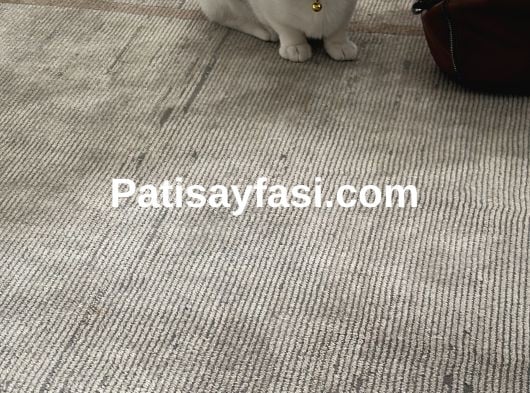 Oğlumuza eş arıyoruz