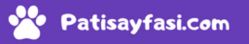 patisayfasi