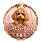 Selin'in Poodle Dünyası